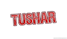 tushar1613.jpg