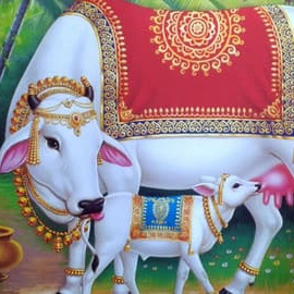 yadav-g.jpg